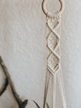 A fun diamond design plant hanger that you can't go wrong with. Made with natural 3mm cotton rope on an untreated wooden hoop. 