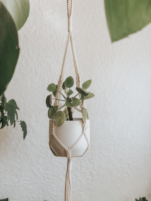 Blume Plant Hanger made with natural rope, jute twine and chunky rope