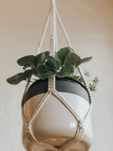 Boston Plant Hanger made with natural rope, jute twine or chunky cotton rope