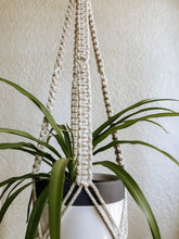 Boston Plant Hanger made with natural rope, jute twine and chunky cotton rope.