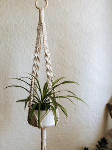 Ripple Plant Hanger made with natural rope, jute twine or chunky cotton rope.