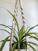 Ripple Plant Hanger made with natural rope, jute twine or chunky cotton rope.