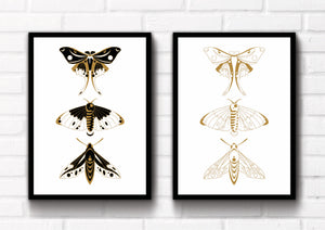 Set of 2 eye catching moth prints that could fit beautifully into any room in your home. Eccentric and bohemian wall art. Simply download, print and enjoy!