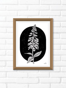 Black and white illustration of foxglove flowers under a starry night background. Pair your prints with other illustrations to create a whimsical story of your own.