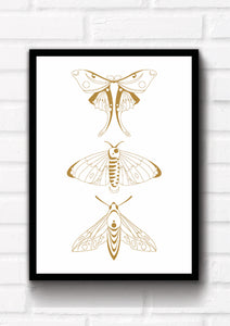 Set of 2 eye catching moth prints that could fit beautifully into any room in your home. Eccentric and bohemian wall art. Simply download, print and enjoy!