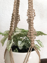 Blume Plant Hanger made with natural rope, jute twine and chunky rope.