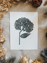 The process starts with a paper drawing that is then transferred to a Lino sheet and carefully hand carved by me, using special tools. Once the carving work is done, a water-based ink is rolled onto the print and then printed onto a sheet of paper. The outcome is rather charming! This elegant hydrangea flower print can be framed, pegged to a line/meshboard, used in journaling or sent as a gift to a friend. 