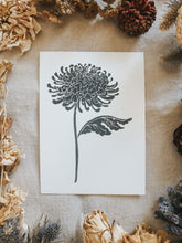 The process starts with a paper drawing that is then transferred to a Lino sheet and carefully hand carved by me, using special tools. Once the carving work is done, a water-based ink is rolled onto the print and then printed onto a sheet of paper. The outcome is rather charming! This elegant chrysanthemum flower print can be framed, pegged to a line/meshboard, used in journaling or sent as a gift to a friend. 