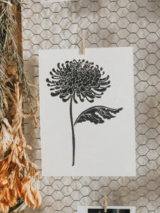 The process starts with a paper drawing that is then transferred to a Lino sheet and carefully hand carved by me, using special tools. Once the carving work is done, a water-based ink is rolled onto the print and then printed onto a sheet of paper. The outcome is rather charming! This elegant chrysanthemum flower print can be framed, pegged to a line/meshboard, used in journaling or sent as a gift to a friend. 