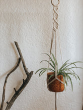 A fun diamond design plant hanger that you can't go wrong with. Made with natural 3mm cotton rope on an untreated wooden hoop. 