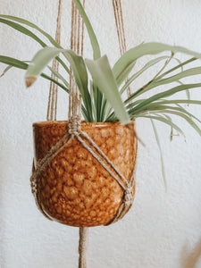 A fun diamond design plant hanger that you can't go wrong with. Made with 3mm jute twine on an untreated wooden hoop. 