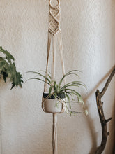 A fun diamond design plant hanger that you can't go wrong with. Made with chunky cotton rope on an untreated wooden hoop. 