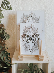 Black and white illustration of moth surrounded by botanicals. Pair your prints with other illustrations to create a whimsical story of your own.