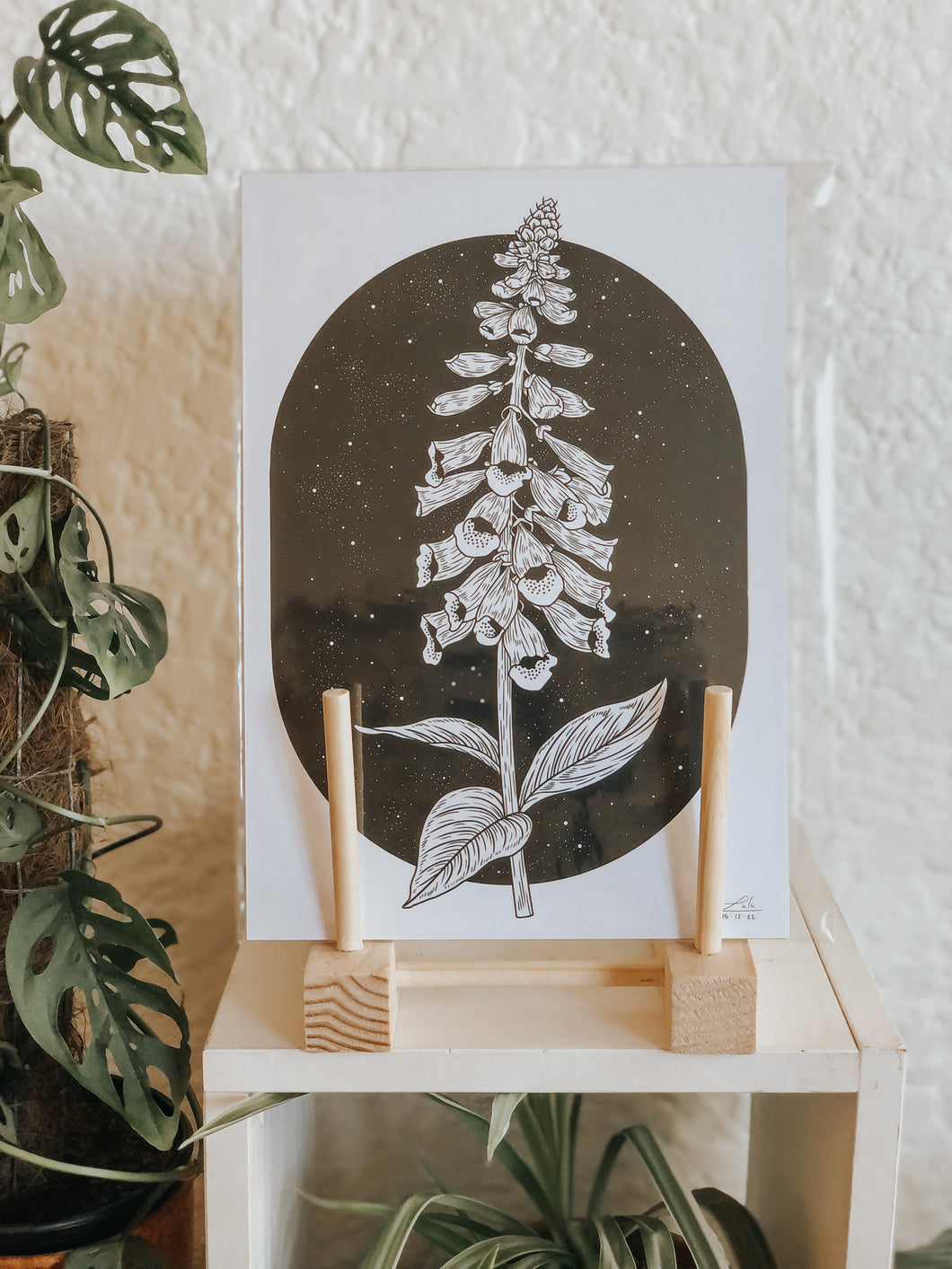 Black and white illustration of foxglove flowers and a stary night background. Simply download, print, frame and enjoy!
