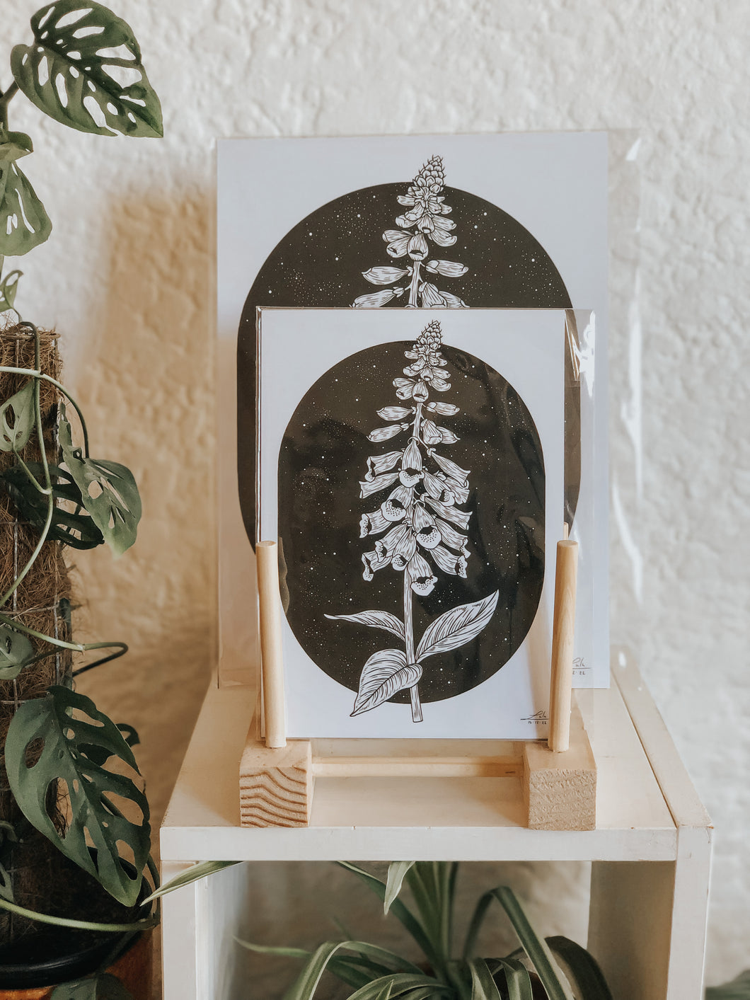 Black and white illustration of foxglove flowers under a starry night background. Pair your prints with other illustrations to create a whimsical story of your own.