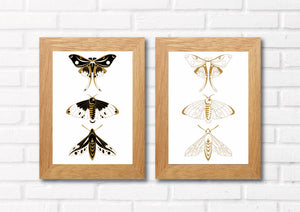 Set of 2 eye catching moth prints that could fit beautifully into any room in your home. Eccentric and bohemian wall art. Simply download, print and enjoy!