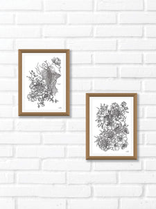 Black and white line work of botanicals and anatomy. Simply download, print, frame and enjoy!